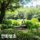 숲속