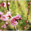 구례LPG충전소 이미지