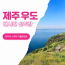 우도 선착장 장애인용 | 우도 배시간 예약 요금 성산항 천진항 전기차 전기스쿠터 가볼만한곳