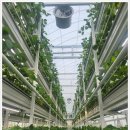 미래팜스 이미지