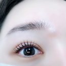 예뿐눈썹 이미지