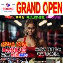 써밋복싱 이미지