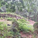 이승훈묘 이미지