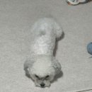 개스토랑 이미지