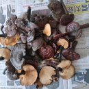 검성로-17 이미지