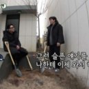 또또애견