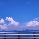 선데이코퍼레이션 네이버블로그