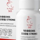 퍼피쿠키 이미지