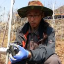 농부아저씨 이미지