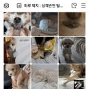 [ 애드 포스트] 신청방법 및 승인 35개 글로 승인된 후기 -블로그 상위 노출 되는 법