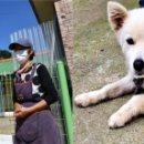 백구공원 이미지