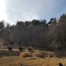 광산구-127 네이버블로그
