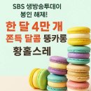 생방송투데이 봉인 해제 제한구역 수제 뚱카롱 황홀스레