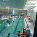 초당스포츠센터 이미지