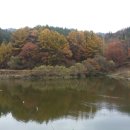 백화낚시터 이미지