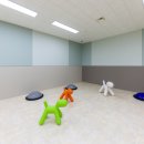 눈보뛰 프리미엄 이미지