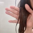 프리지아헤어살롱 - 평택시 세교7길 53-5 | 판테놀 트리트먼트 봄비유 손상헤어 트리트먼트로 극손상모발 개선 홈케어 성공 후기