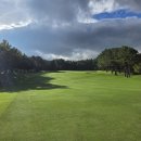 오라골프존 이미지