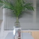 스테이101 이미지