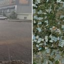 법환초등학교 이미지