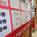우주부동산중개사무소 정책브리핑