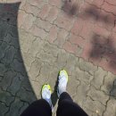 [공지] [첫 러닝화] 나이키베이퍼 플라이2 후기(대회착용 O)