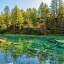 김정민한의원 이미지