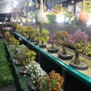 무공해식당 이미지