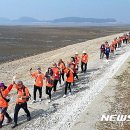 안산-대부-대부-4 이미지