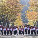 마로니에길 이미지