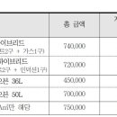 옵션 선택가이드(라고 할수 있을까?) 이미지