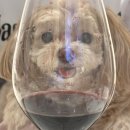 사월의봄한의원 | 열두번째