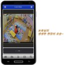 환희어린이집 이미지