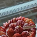 대치1-114 이미지