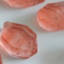 월간화과점 이미지