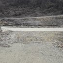 엄정면사무소 이미지