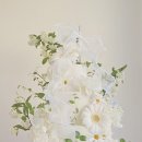 다올쇼핑 이미지