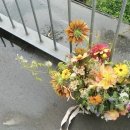 역삼-1480 이미지