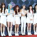 위키미키 카카오 검색결과