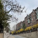 사평대로28길 77 | 서래마을 요거트 맛집 팔러엠 후기