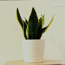 쉴만한물가요양원 이미지