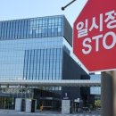 하니바이오 티스토리