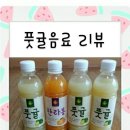 올레원 | 🍊올레원 풋귤 시음 후기🍊