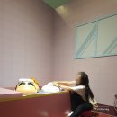 서재 흰둥이네 이미지