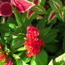 건물 앞 삼거리 이미지