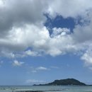 여행자게스트하우스 | 제주 혼자 여행 스타뜨: 어보호인지 꼭 확인하고 주차하자_3편
