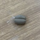 힐링데이 | 소근공방: 여수 도자기 공방 힐링 원데이 클래스 후기