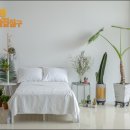 원앙세탁 이미지