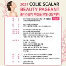 엘리트화장품