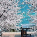 장승포해안로 이미지